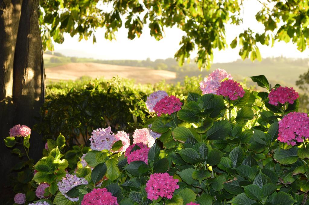 Agriturismo Cavazzone Regnano  Kültér fotó